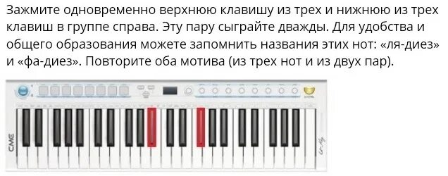 На пианино кузнечик по клавишам для начинающих. Собачий вальс на клавишах синтезатора. Ноты собачий вальс для синтезатора. Сыграть собачий вальс на синтезаторе. Как сыграть на пианино собачий вальс.