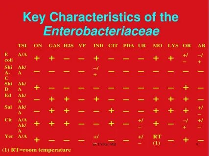 Key character