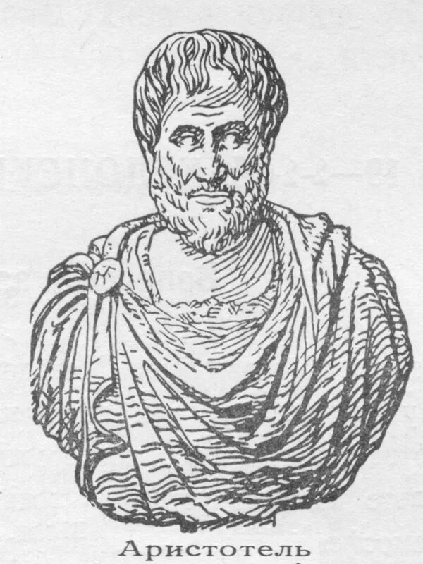 Аристотель (384-322 гг. до н.э.). Аристотель картинки. Контурный портрет Аристотеля. Аристотель орнамент.