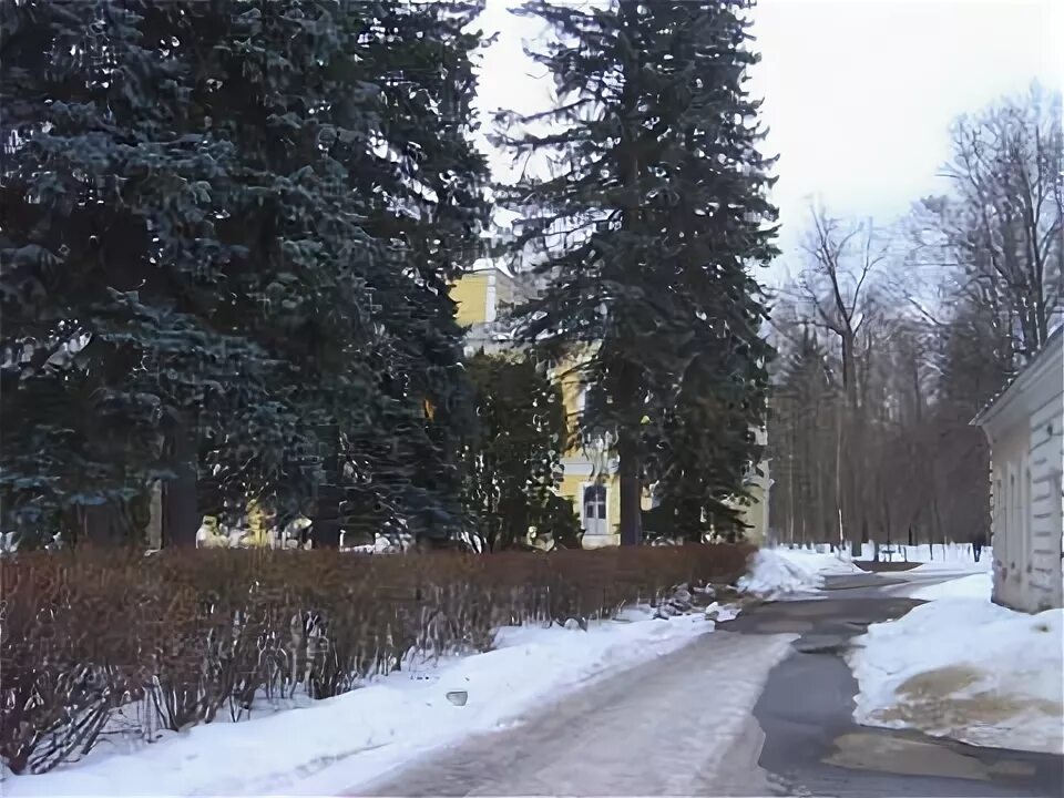 Монино поселок. Монино отдых. Усадьба монино бельского. Монино московская область реабилитационный центр. Монино санаторий финансовая академия.