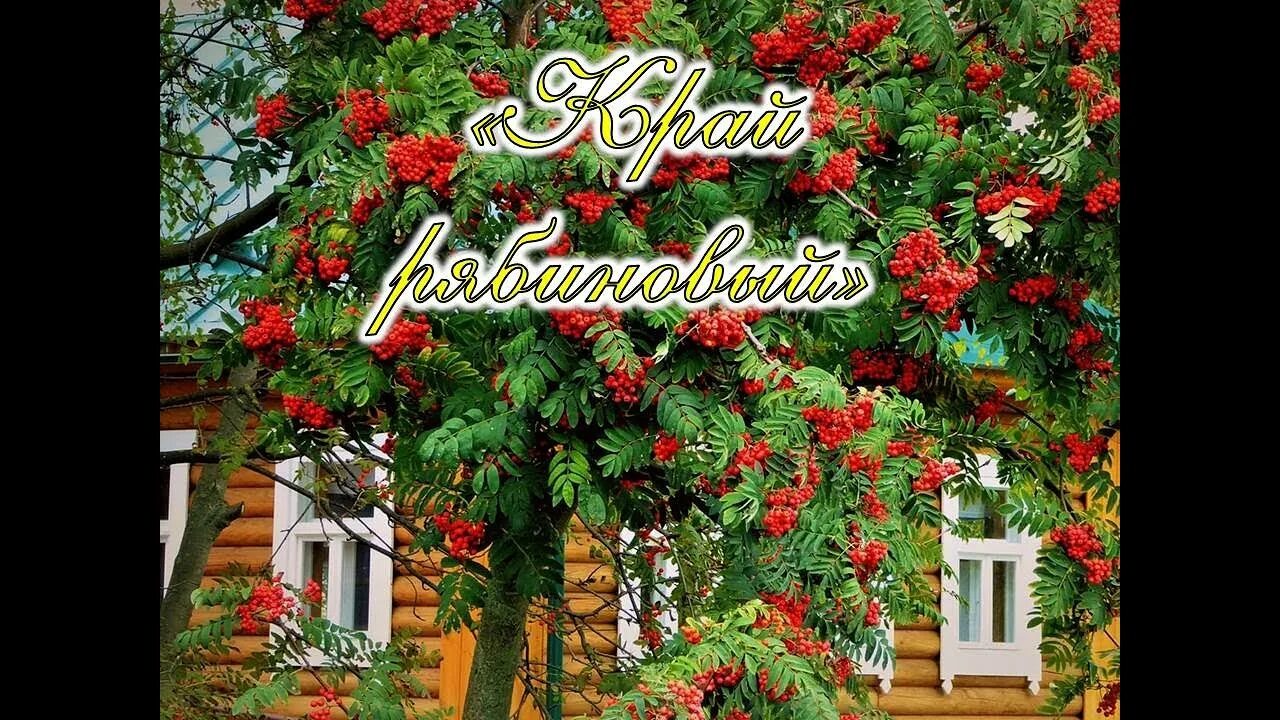 Песня край рябиновый. Песня край рябиновый. Песня край рябиновый. Сударушка костюмы. Песня золотое кольцо текст.