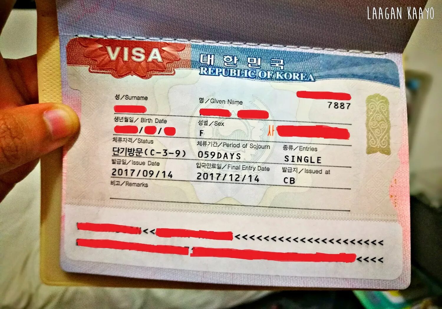 Нужна ли виза в корею 2024. Korea visa. Южная Корея Telex visa. Виза в Корею. Статусы визы в Корею.