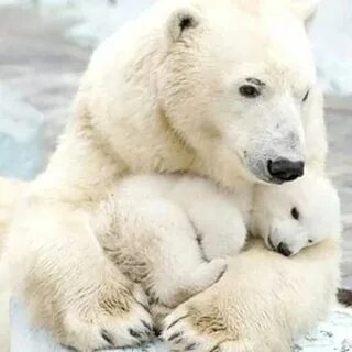 Such love