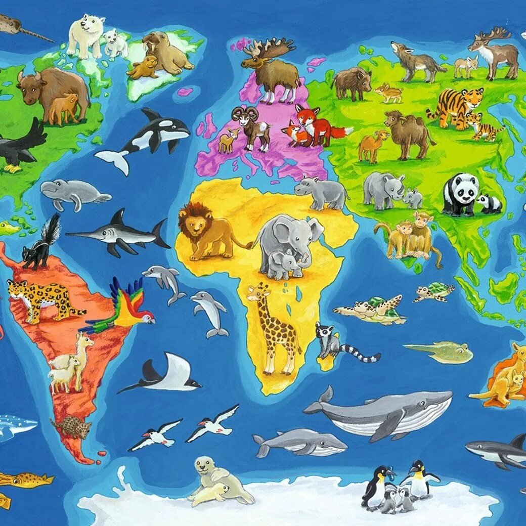 Континенты с животными. Обитатели земли. Континенты для детей. Животные континентов для детей.