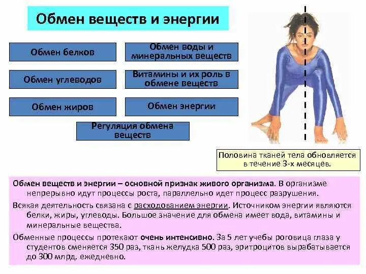 Вещество роль в обменн вещесвб и э. Обмен веществ и энергии. Обмен воды и Минеральных веществ. Вещества роль в обмене веществ и энергии.