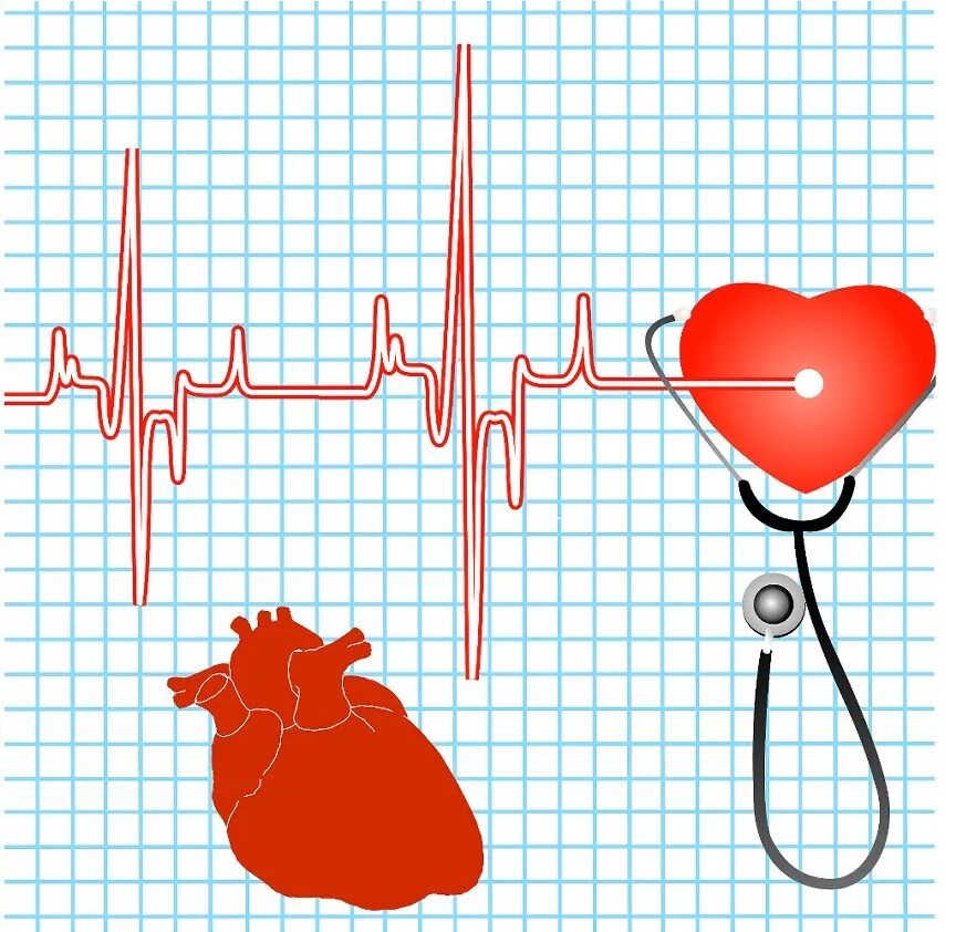 Легкое сердцебиение. Аритмия сердца. Пульс сердца. "Ритм" (сердечный). Изображение ритма сердца.