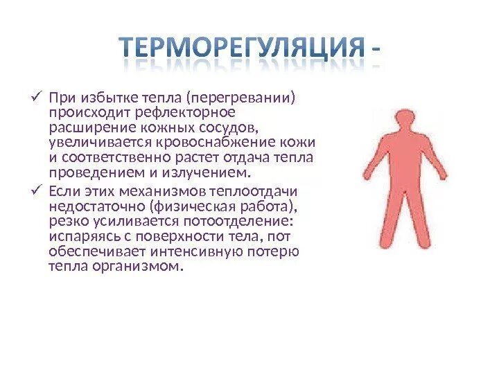 Испарение пота с поверхности кожи. Сосуды кожи при избытке тепла. Терморегуляция человека. Рефлексы расширения сосудов кожи осуществляет. При перегревании организма происходит рефлекторно сосудов кожи.