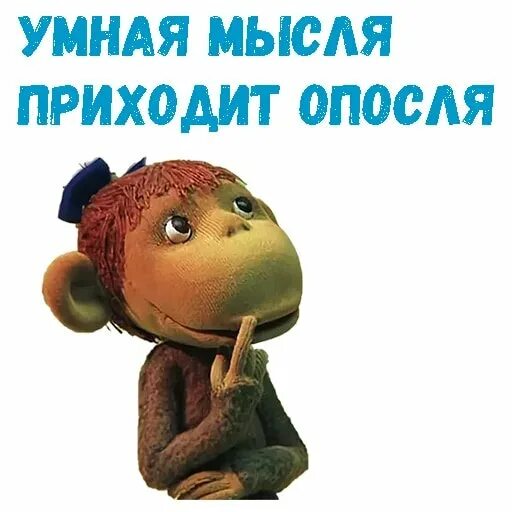 Думай умнее. Умная Мысля приходит опосля. 38 Попугаев. Мартышка из мультика 38 попугаев. 38 Попугаев Стикеры.