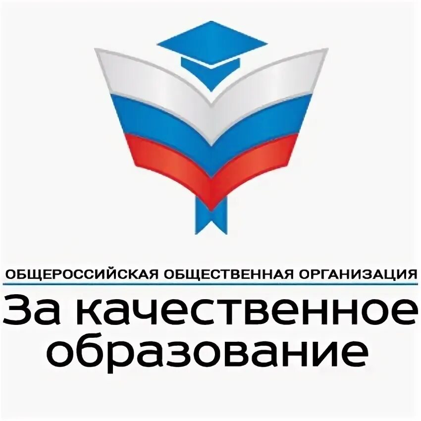 Качественное образование. Что такое качественное образование и качество образования. Качественное образование картинки. Качество образования рисунок. Общественная организация в сфере образования