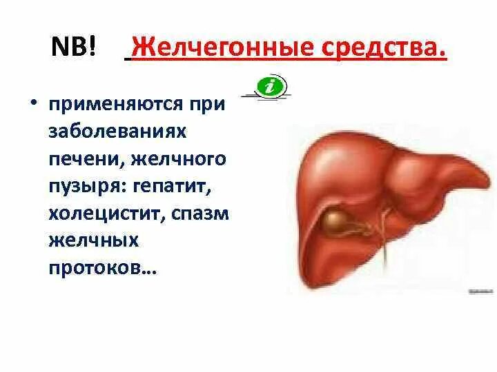 Желчевыводящие препараты. Желчегонные препараты. Желчегонное для печени. От загиба желчного пузыря препараты.