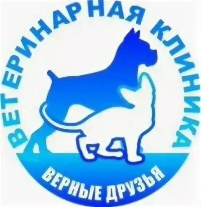 Верный друг владивосток