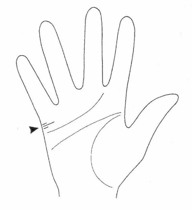 Линии судьбы. Ладонь рисунок линии. Треугольник линия судьбы линия ума линия меркурия. Основные линии на ладони в хиромантии. Треугольник на линии жизни.