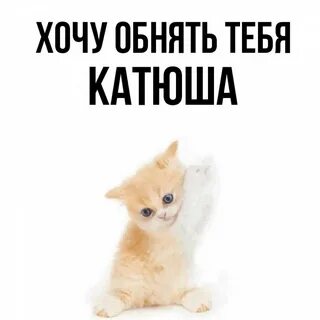 Хочу качу