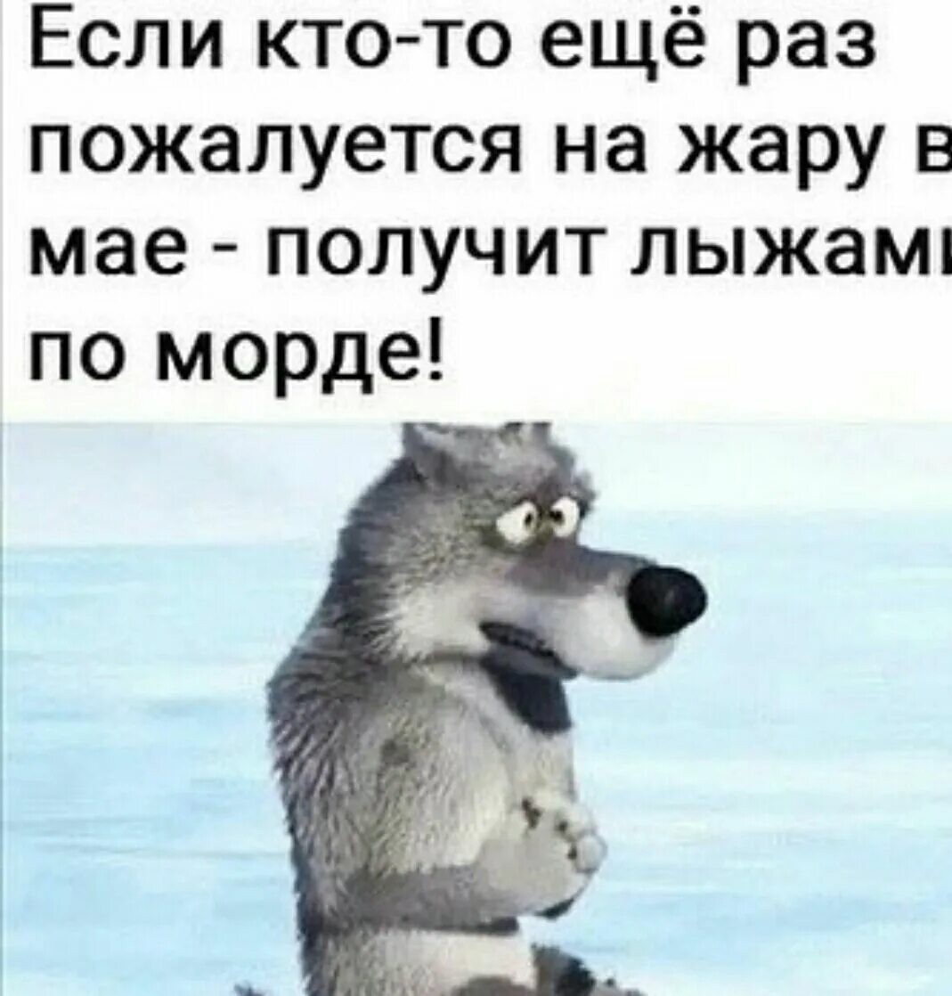 Картинки смешные когда будет тепло. Теплее мая краснотурьинск. Ах черёмуха белая. Май когда тепло. Юмор в картинках.