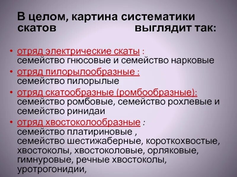 Строение ската. Скаты систематика род вид семейство. Схему систематики костных рыб. Отряд скаты представители. Скат систематическая группа.