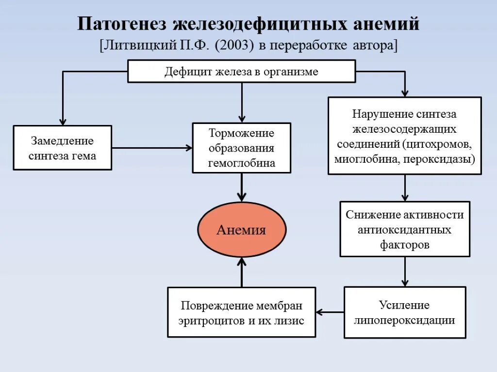 Анемия кома. Патогенез железодефицитной анемии схема. Патогенез жда у детей схема. Патогенез жда клинические рекомендации. Схема патогенеза анемий.