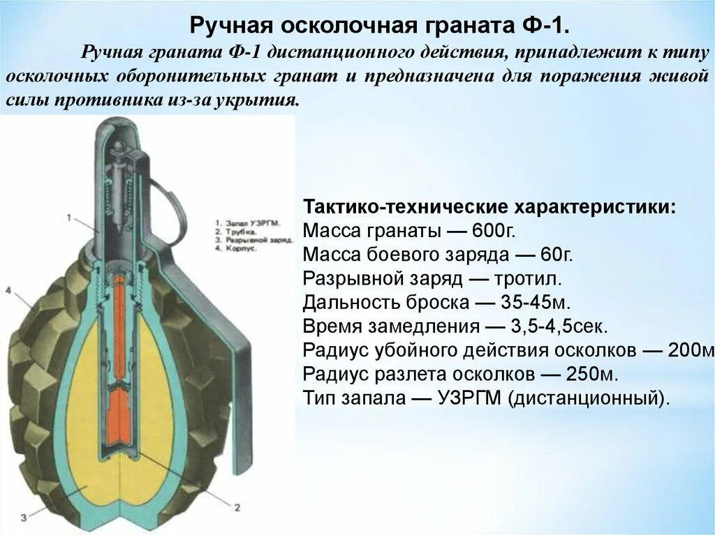 Ручные осколочные гранаты ф-1. Характеристики гранаты ф1. Поражение гранатой ф1. Радиус осколков гранаты ф 1.