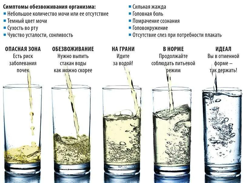 Через сколько можно мочить