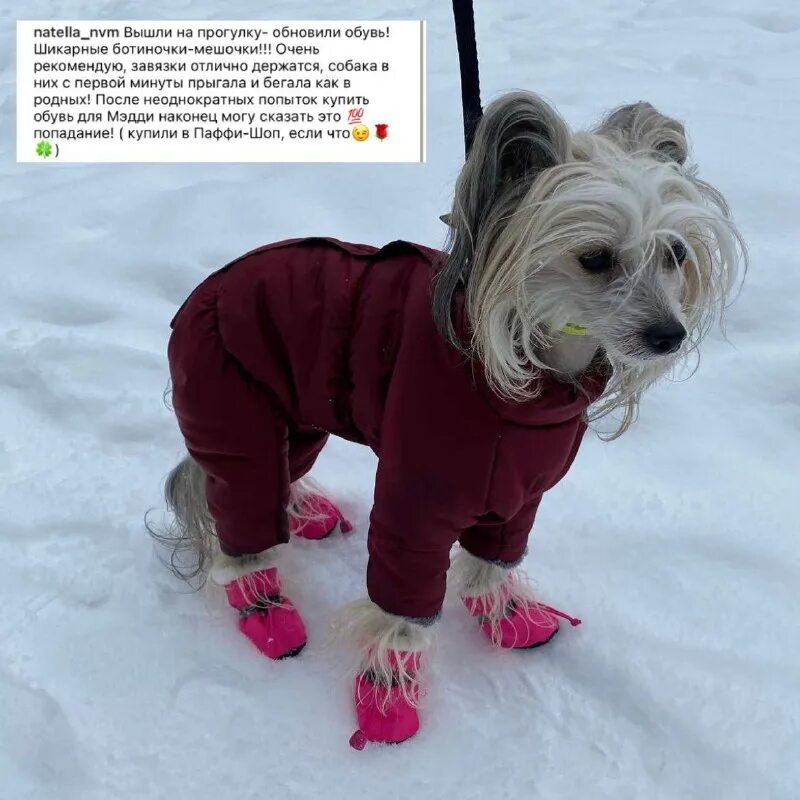 Пуффи одежда для собак. Кофта в виде песика. Пуффи одежда для собак. Вязаный свитер для собаки. Кофточки для собак.