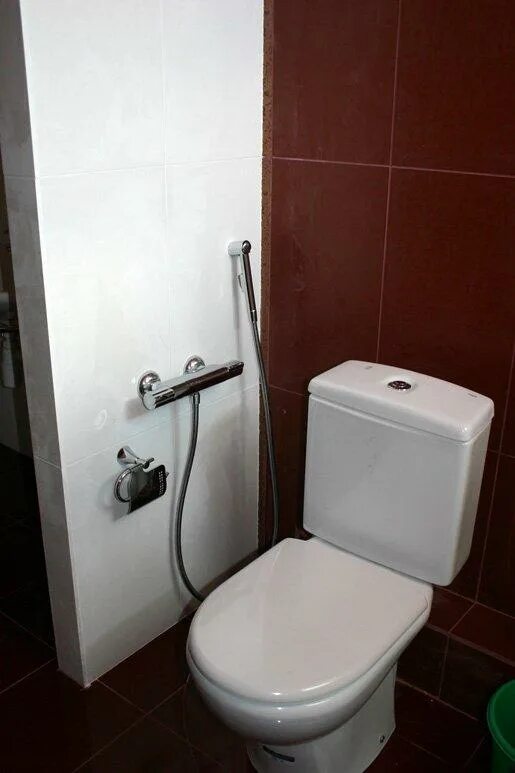 Туалетная комната с гигиеническим душем. Душа крепление унитаз