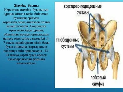 Миссионерлік сексті қараңыз
