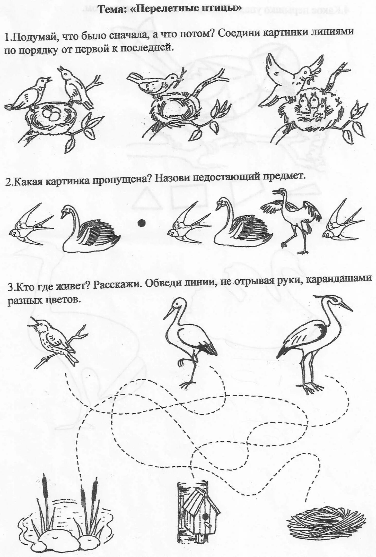 Конспект развитие речи зимующие птицы подготовительная группа. Задания на тему перелетные птицы для дошкольников. задания по теме перелётные птицы для дошкольников. перелетные птицы задания логопеда. перелетные птицы задания логопеда для дошкольников 5-6.