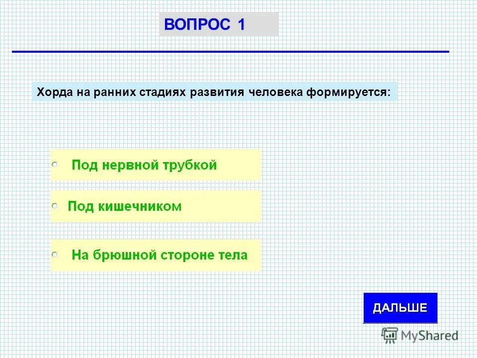 ранняя стадия развития хорды человек. нейрула образование нервной трубки. хорда на ранних стадиях развития человека. эктодерма нервная трубка. зародышевое развитие хордовых.