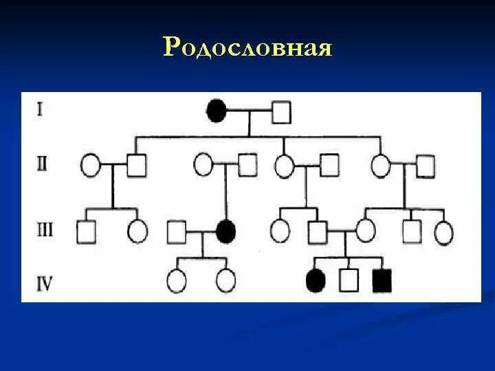 Древо семьи биология генетика. Схема родословной генетика. Схема родословной биология генетика. Генеалогический метод Древо. Схема клинико генеалогический метод.