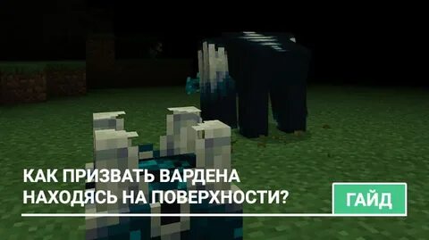 Как найти вардена командой