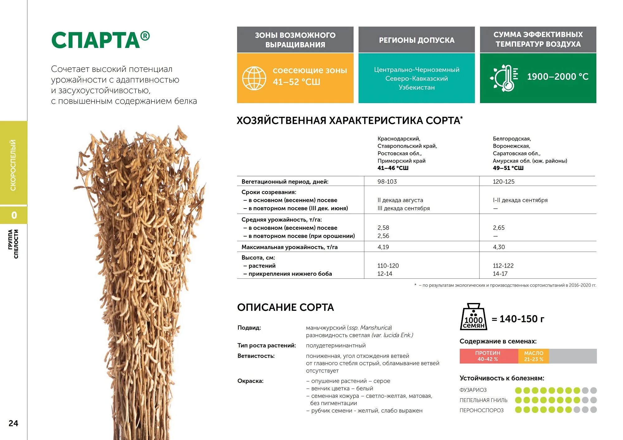 Соя веда. Сорт сои ск веда. соя арлета. ультраскороспелый сорт сои. соя раннеспелые сорта.