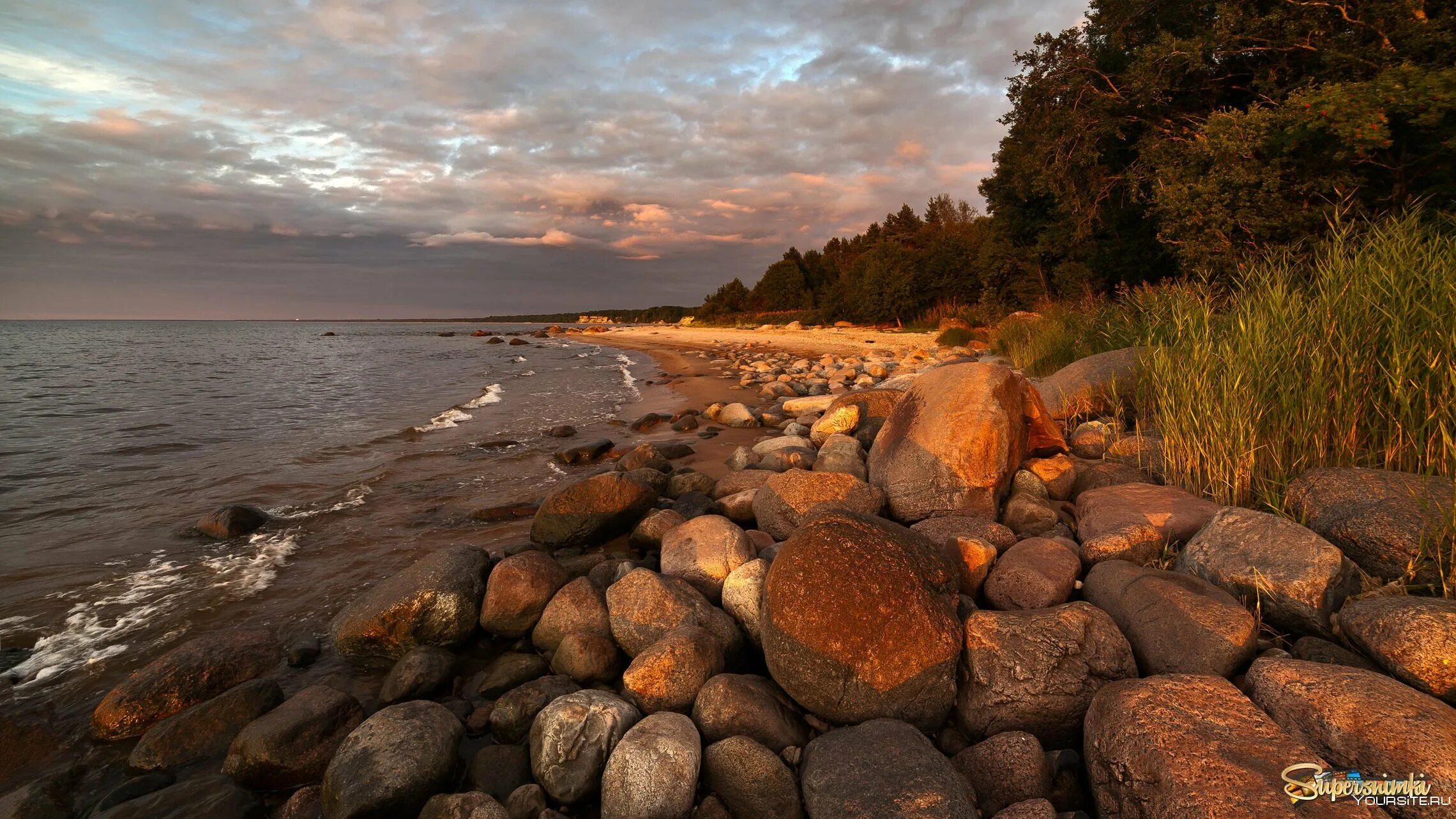 Репино камни залив. Берег финского залива Репино. Каменный берег валуны финский залив. Репино финский залив.