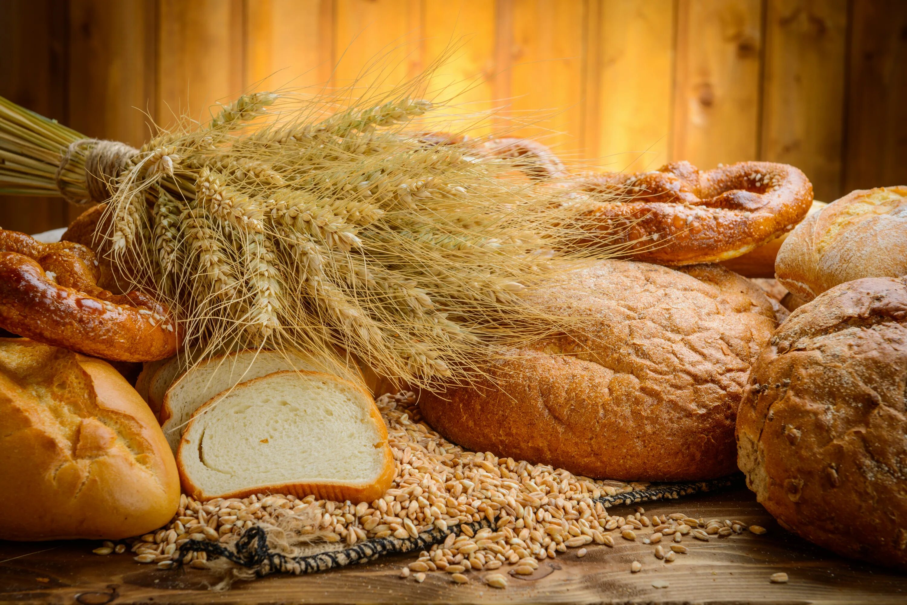 Bread wheat