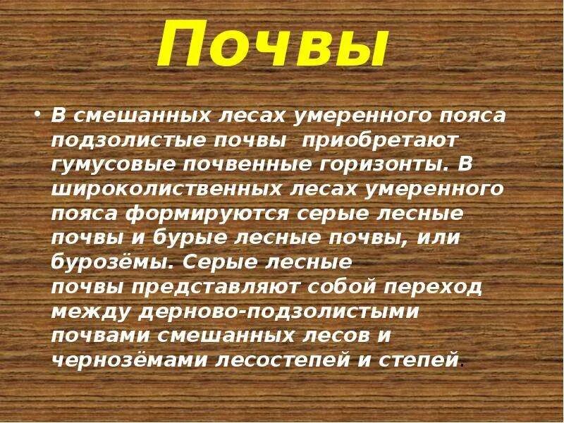 Почвы зоны смешанных лесов в россии. Почвы смешанных и широколиственных лесов. Смешанные и широколиственные леса почва. Смешанные и широколиственные леса почва в России. Почвы смешанных лесов (умеренного пояса).