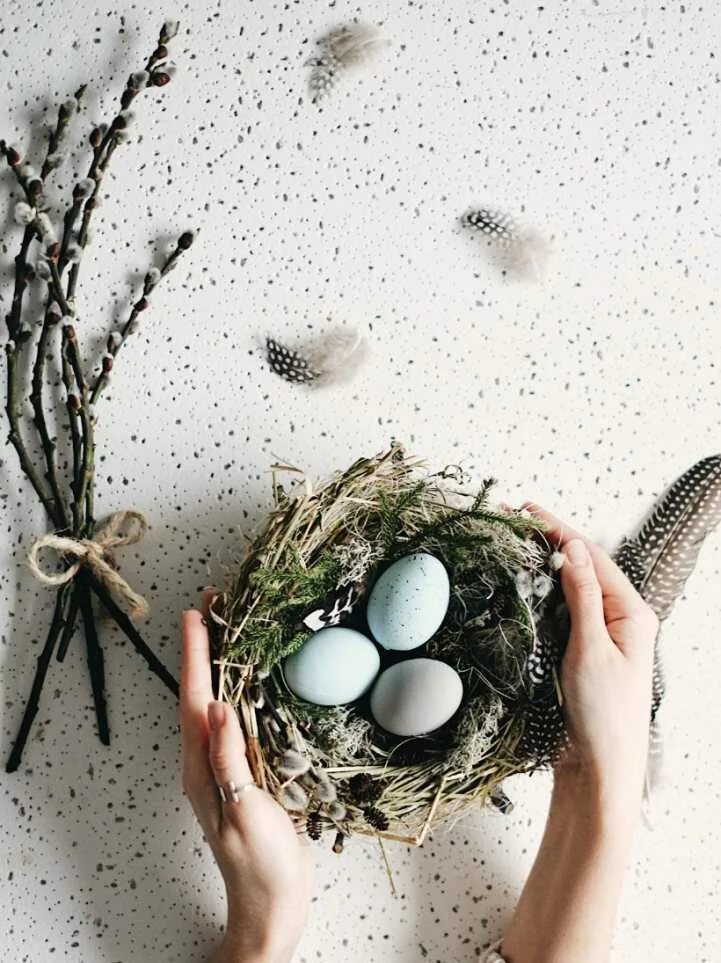 Nest create