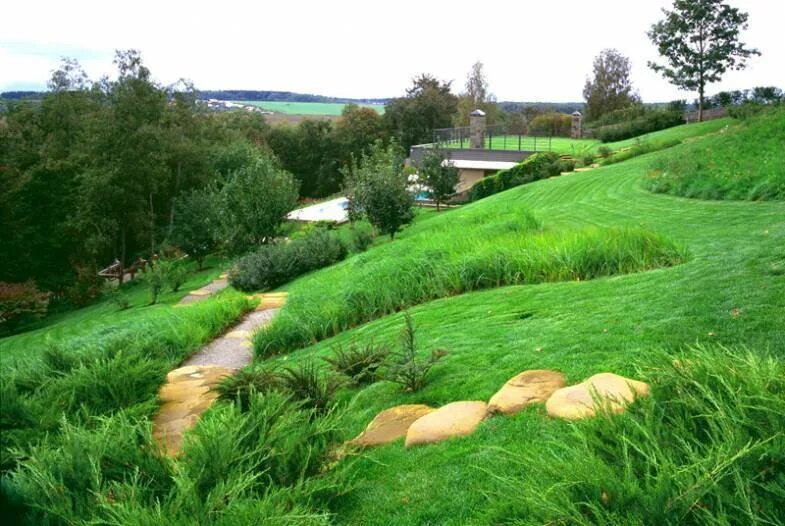 Рельеф водоема. Растения прибрежной зоны пруда. Рельеф схема поверхности. Террасирование участка водопад. Рельеф водоема.