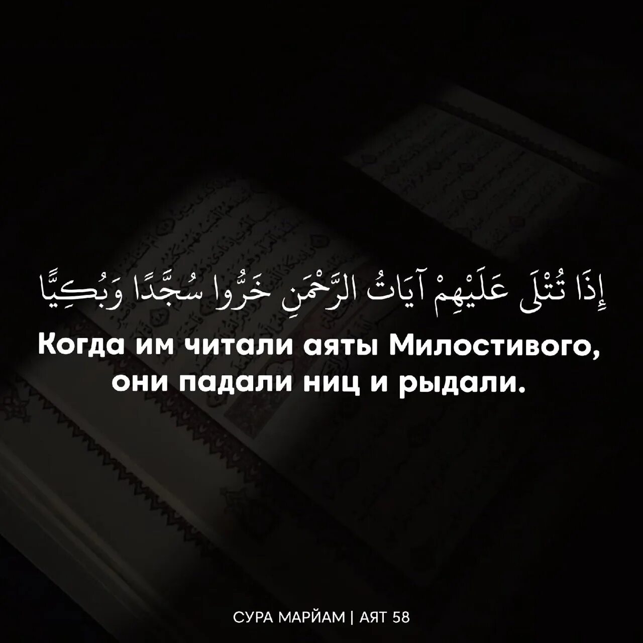 Текст нашид кунту. Кунту майтан перевод. Сура Кунту майтан. Кунту майтан текст. Слова Кунту майтан нашид.