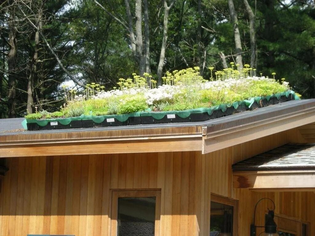 Озеленение крыш. Озеленение крыш домов. Зеленая кровля. Плоская зеленая крыша.