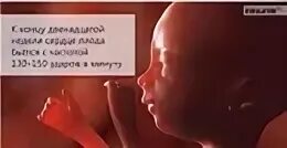 Беременность сердце начинает биться