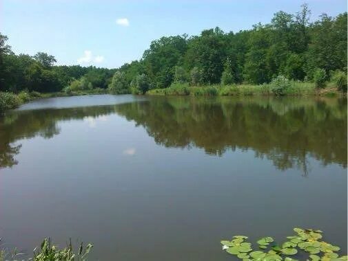 станица калужская 23 школа. станица калужская краснодарский край ул. погода калужская краснодарский край станица северский. станица новодмитриевская. калужская северский район краснодарский край.