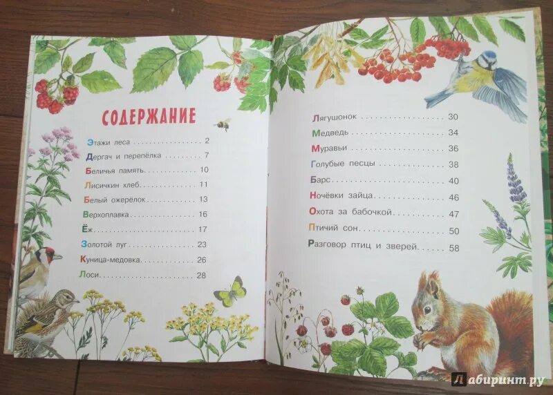 Пришвин сколько страниц. Пришвин первая охота. первая охота сколько страниц. м м пришвин беличья память.