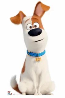 Pets dogs 2