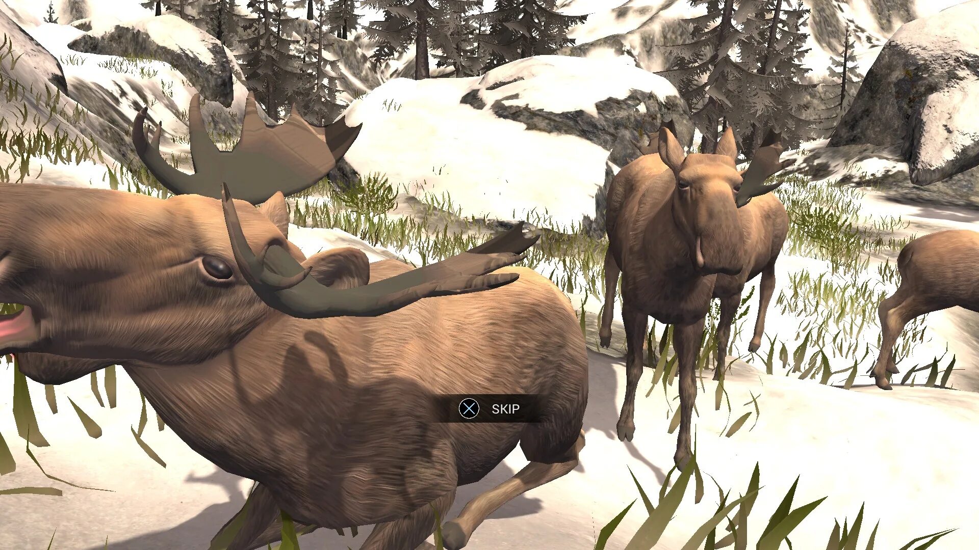 Deer hunter 2014. Deer Hunter: Reloaded. Игра рогатый охотник олень. Deer Hunter пгт. Deer Hunter Classic.