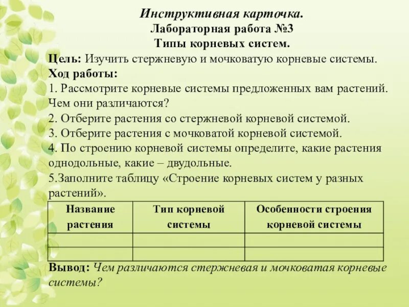 Биология лабораторные практические 10. Лабораторная работа 3 по биологии 6 класс типы корневых систем. Лабораторная работа типы корневых систем 6. Лабораторная работа типы корневых систем презентация. Практические и лабораторные работы по биологии.