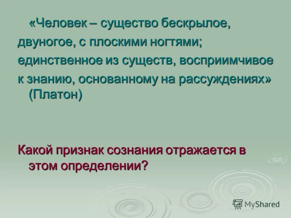 Дайте определение понятию красота. Человек существо Общественное. Общественное существо.