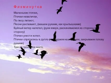 В небе шальные птицы текст
