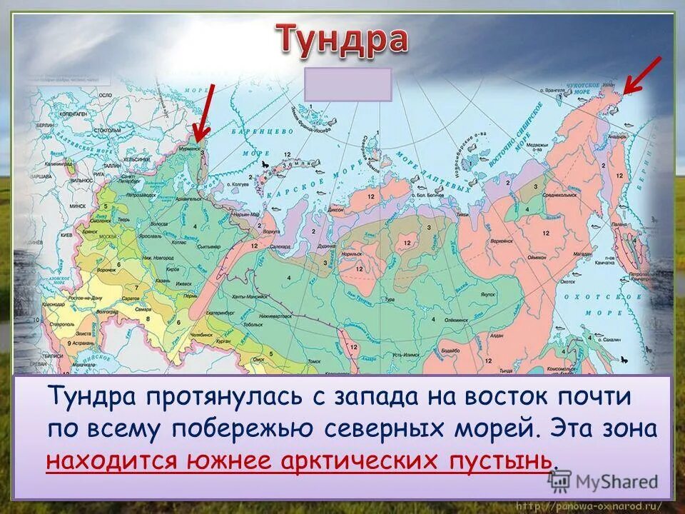 Линия экватора. В каком месте расположена. Карио росси. Физическая карта россии горы. Ханты-мансийский на карте россии.