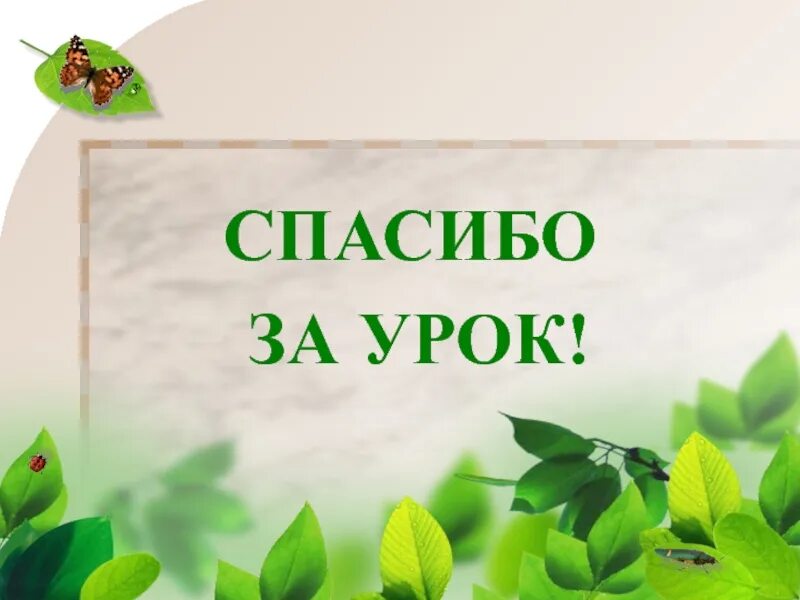 Видео презентация 2 класс