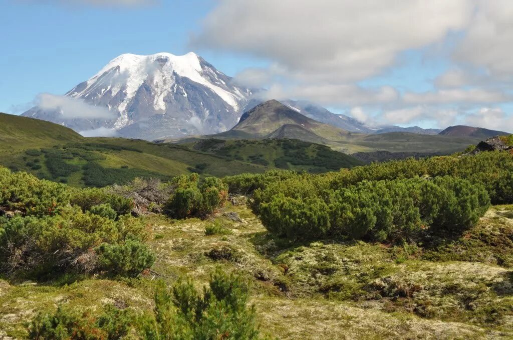 Северная камчатка. Ичинская сопка камчатка. Вулкан ичинская сопка. Ичинская сопка камчатка. Ичинская сопка камчатка.