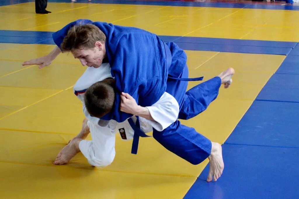 Дзюдо дети республика коми. Дзюдо сыктывкар чупров. Дзюдо коми. Федерация дзюдо республики коми. Дзюдо сыктывкар.