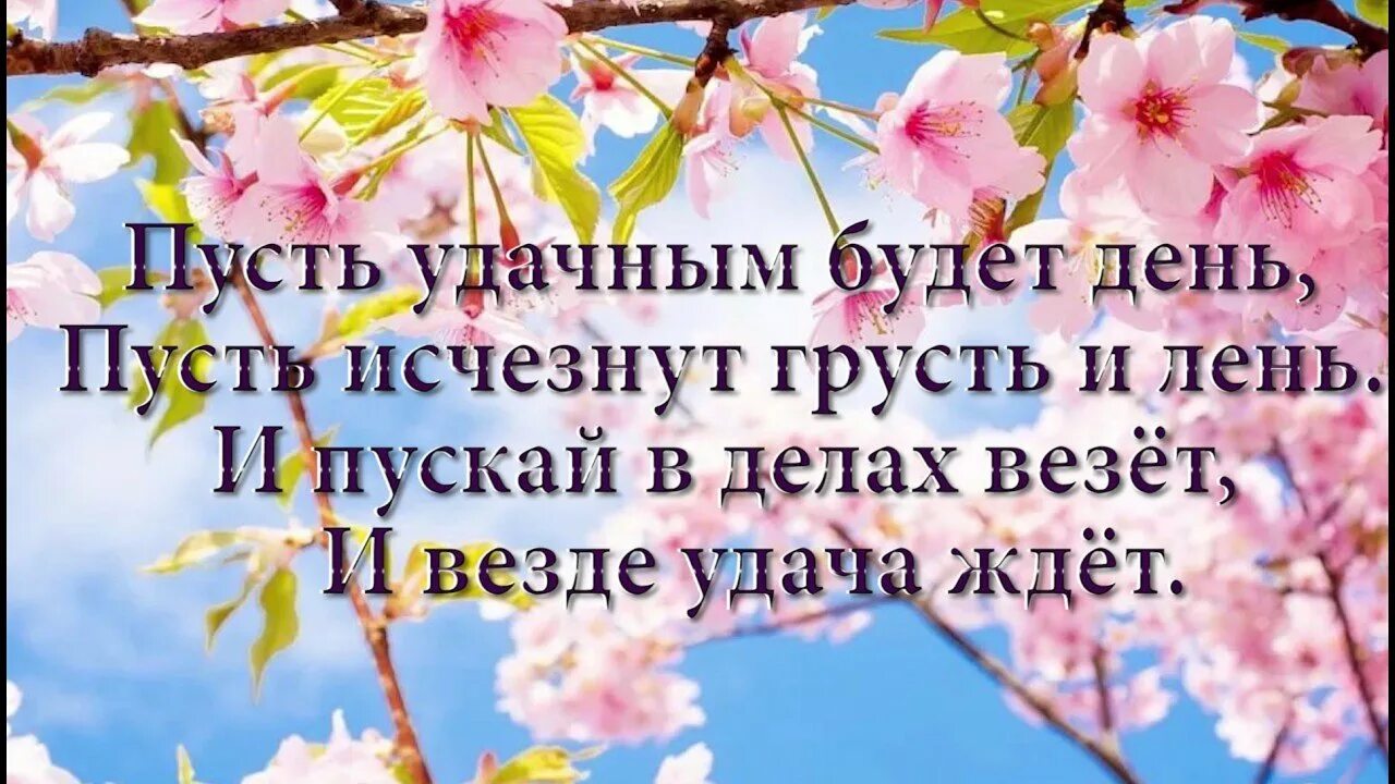 Пожелания доброго дня мужчине весеннего. Пожелания доброго удачного дня. Хорошего дня и отличного настроения. Красивые пожелания хорошего дня. Весенние пожелания.